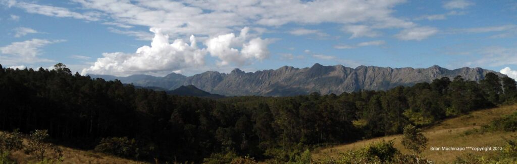 Chimanimani mountain