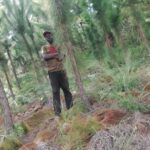 community forest project