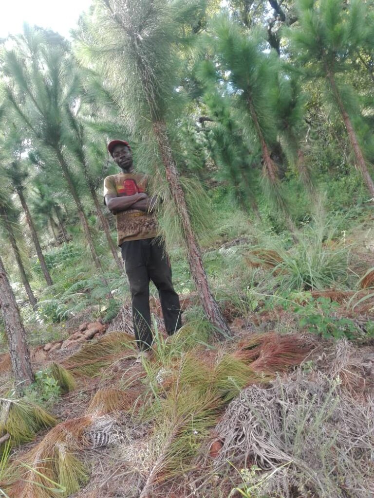 community forest project