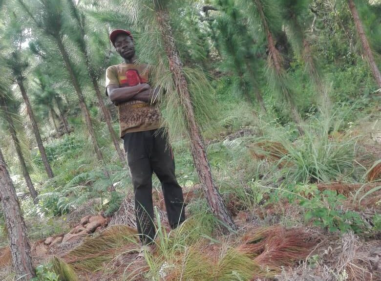 community forest project