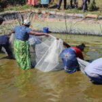 DAPP-climate-centers-fish-harvest