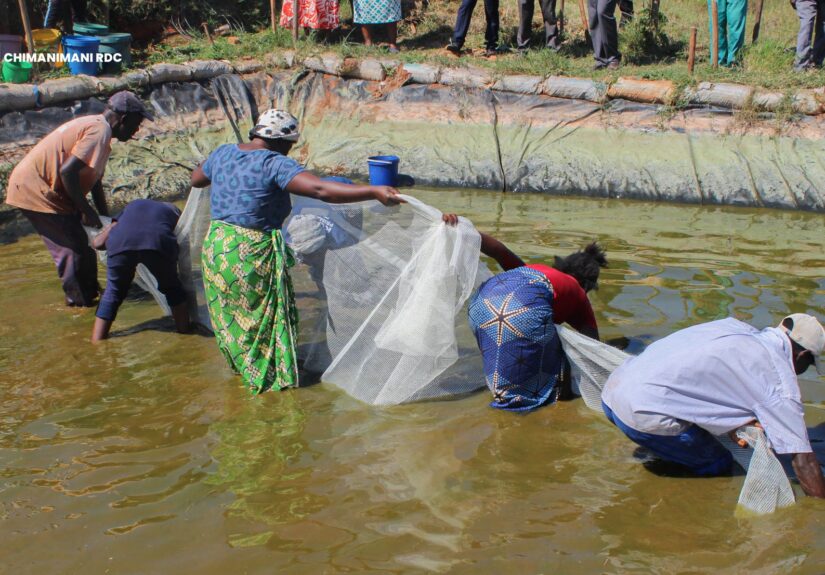 DAPP-climate-centers-fish-harvest